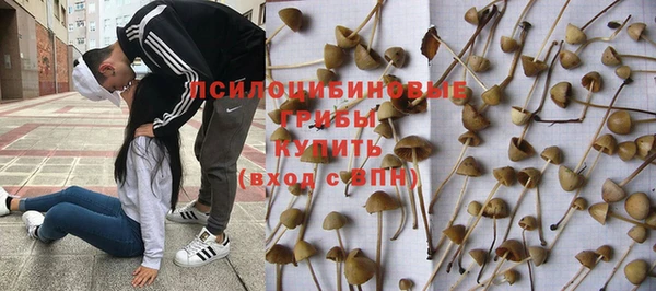 прущие крисы Покачи